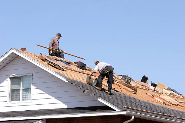 Roof Insulation in Hannahs Mill, GA